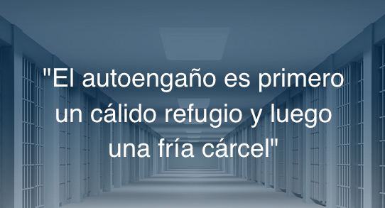 Modelo Innovador de Gestión: 