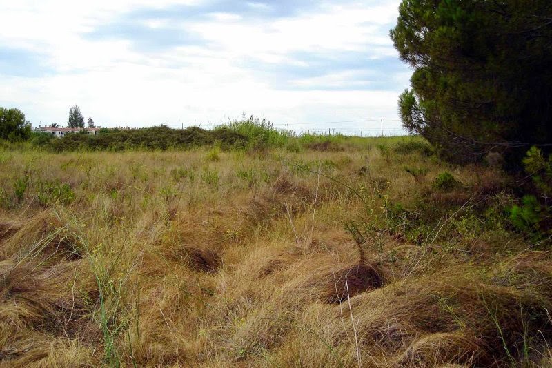Plataforma Del Camp En Defensa De La Terra I El Territori La Fiscal a 