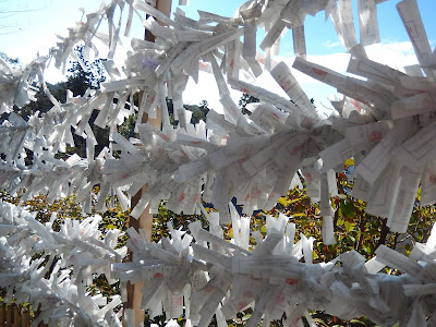 �߉������{�̌�_��