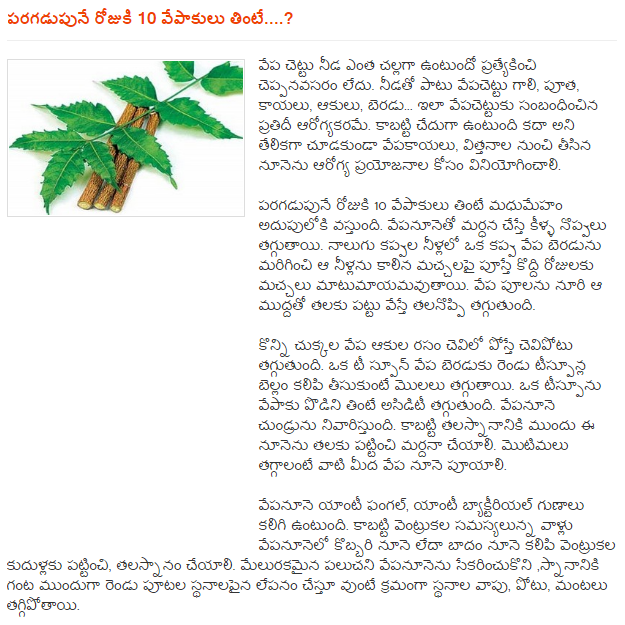 The Health Benefits and Uses of Neem, Organic Facts, Ayurvedic Herbs