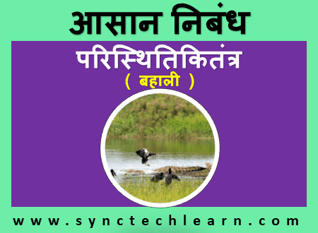 ecosystem restoration essay in hindi