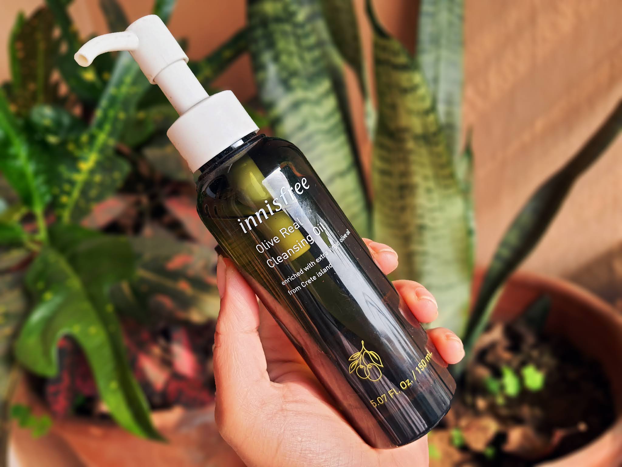 Innisfree Olive Real Cleansing Oil Review Deck and Dine