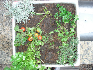 Reverdir **JARDINERIA Y PAISAJISMO**: PATIO VERDE y algo mas.