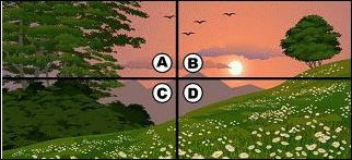 Quiz Diva-Quiz Answers Of “Spot the Owl Quiz"