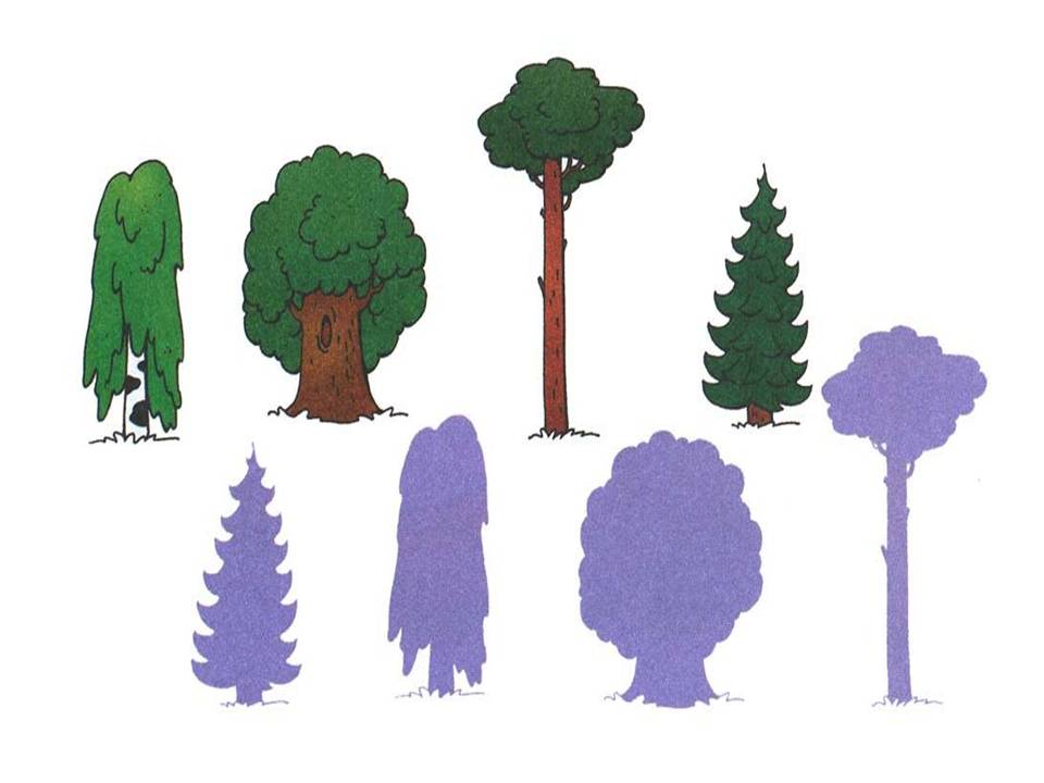 рассказ по картинкам насекомые. лес деревья задания для дошкольников. зимние лабиринты для детей. лес задания для дошкольников. высокий низкий задания для дошкольников.