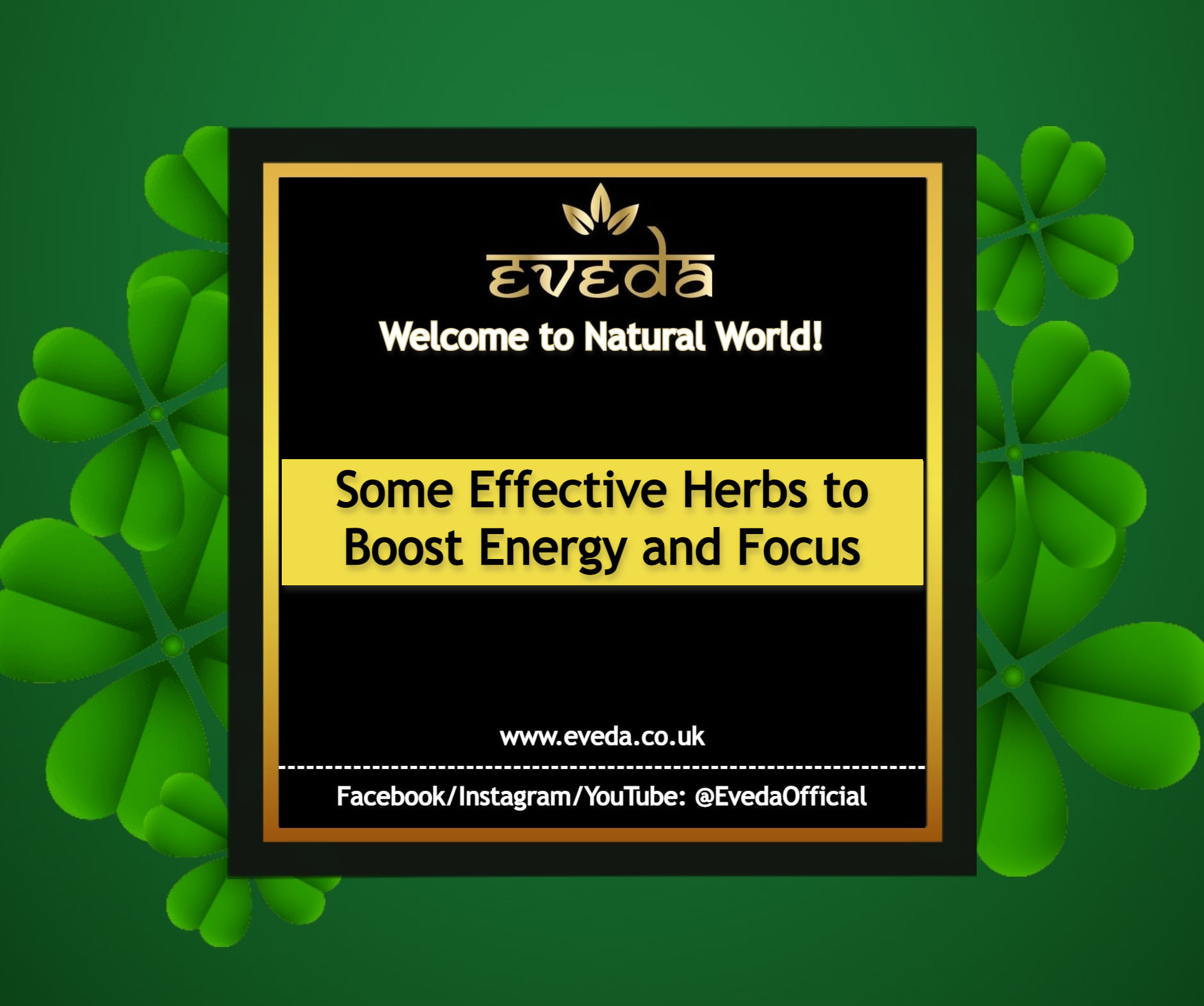 Eveda Official Herbs to Boost Energy and Focus by Eveda