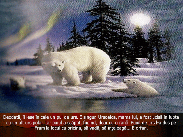 Biblioteca piticilor: Fram, ursul polar