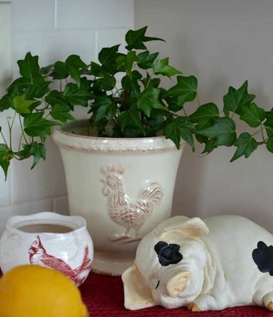 Green Ivy plant and sleeping pig statue on counter