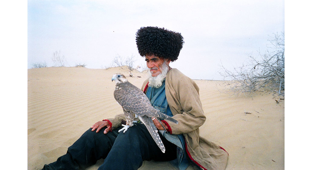Туркменов муратхан. Соколиная охота в Туркменистане. Эзиз Хан Туркмен. Туркмены аламан1885. Соколиная охота в Туркмении.