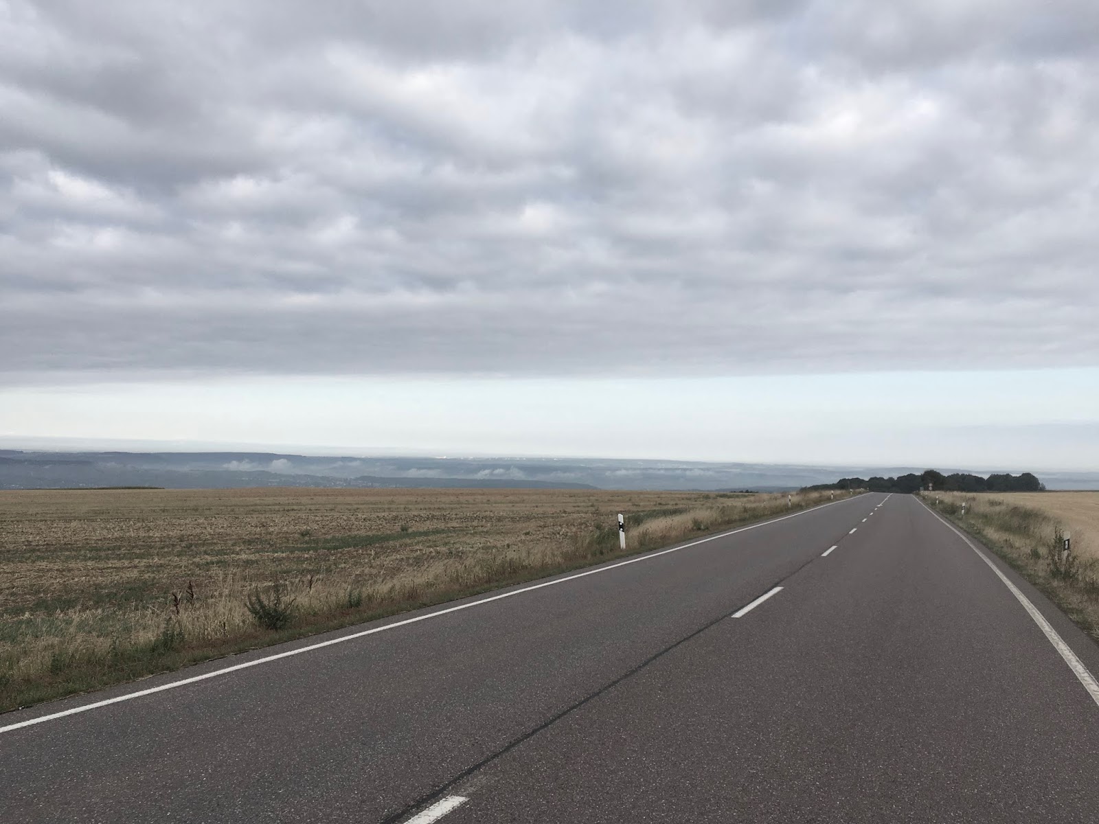 Nabu Beringungsstation Mittleres Saartal Veroffentlichungen