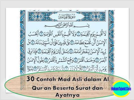 30 Contoh Mad Asli Dalam Al Qur An Beserta Surat Dan Ayatnya