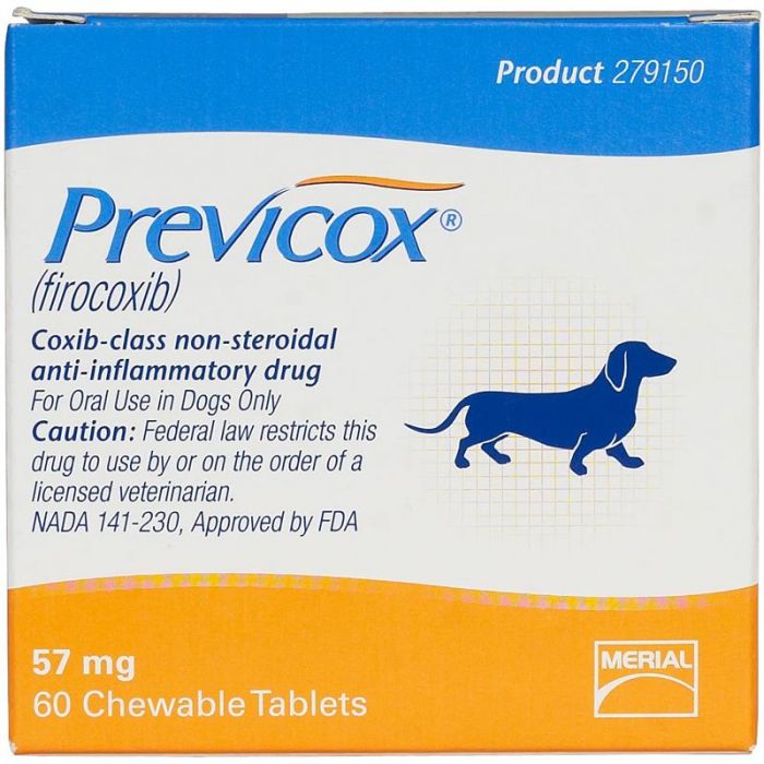 Online Pet Medicine PetRx2Go Bringing the Canine Friend Back on Its Feet