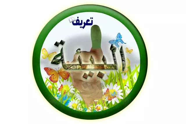 التعريف بالبيئة وأنواعها ومكونات النظام البيئي للإنسان ودوره في البيئة