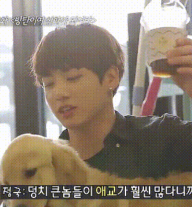 100.gif
