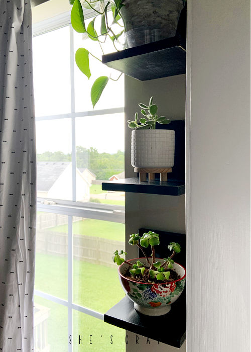 Plant Shelves