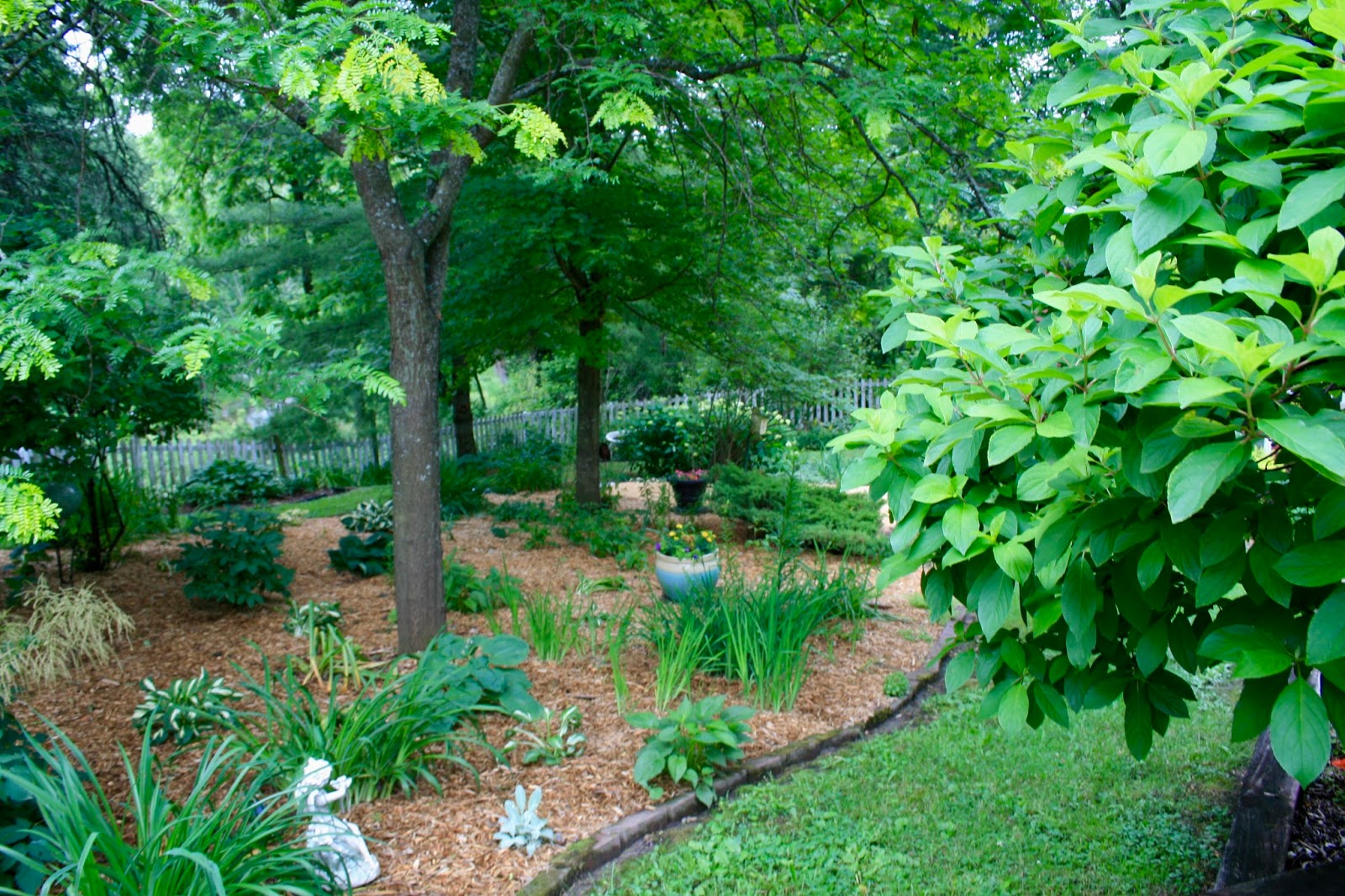 Amy's Creative Pursuits The Late June Garden