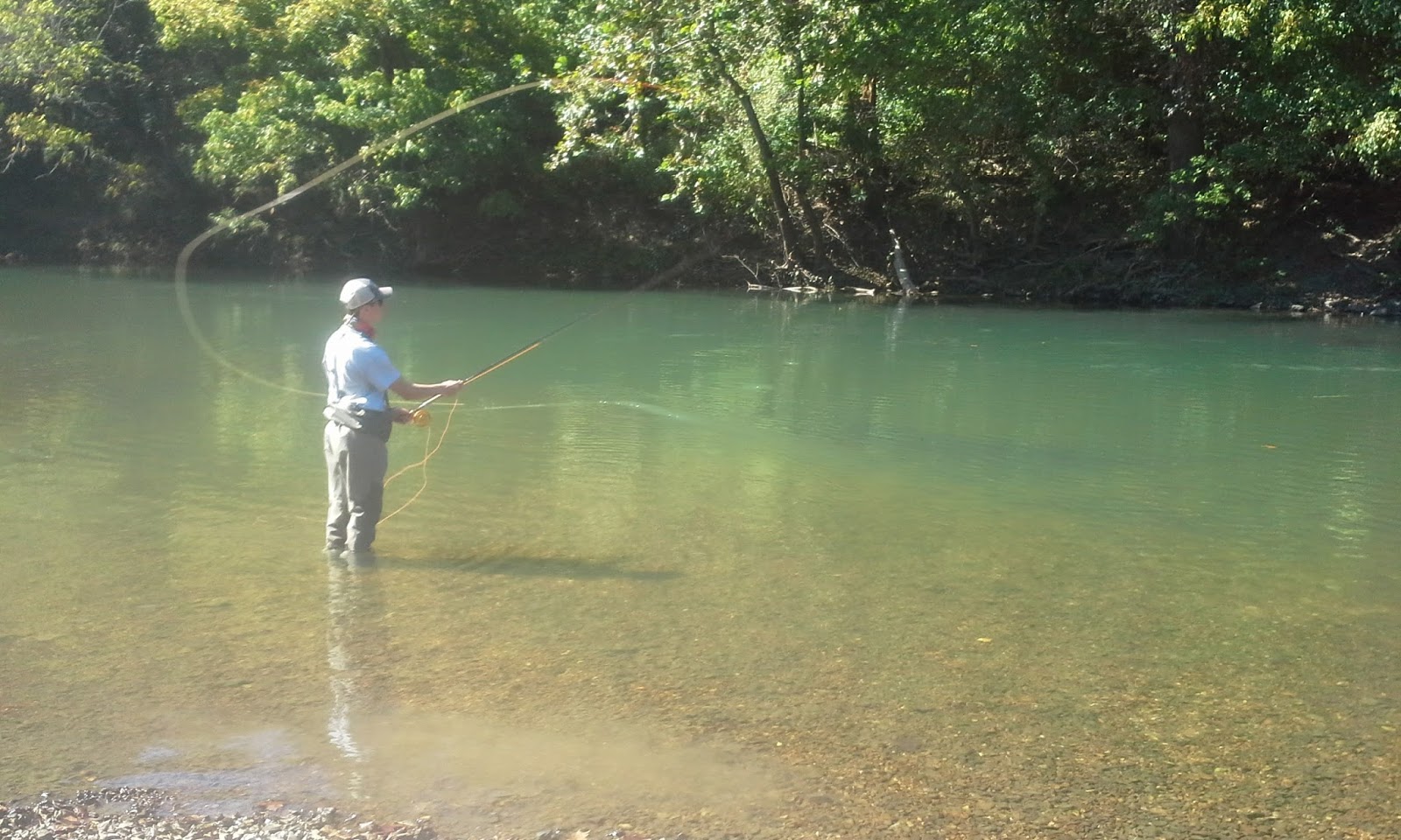 Dally's How To: Choosing A Fly Rod – The Ozark Fly Fisher Journal