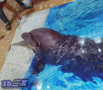 3d dolphin flooring, how to install 3d epoxy floor with photo printing