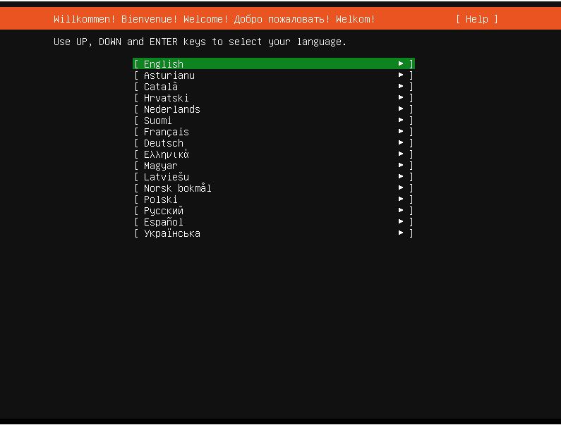 Tutorial Install Ubuntu Server Ubuntu 20.04 LTS