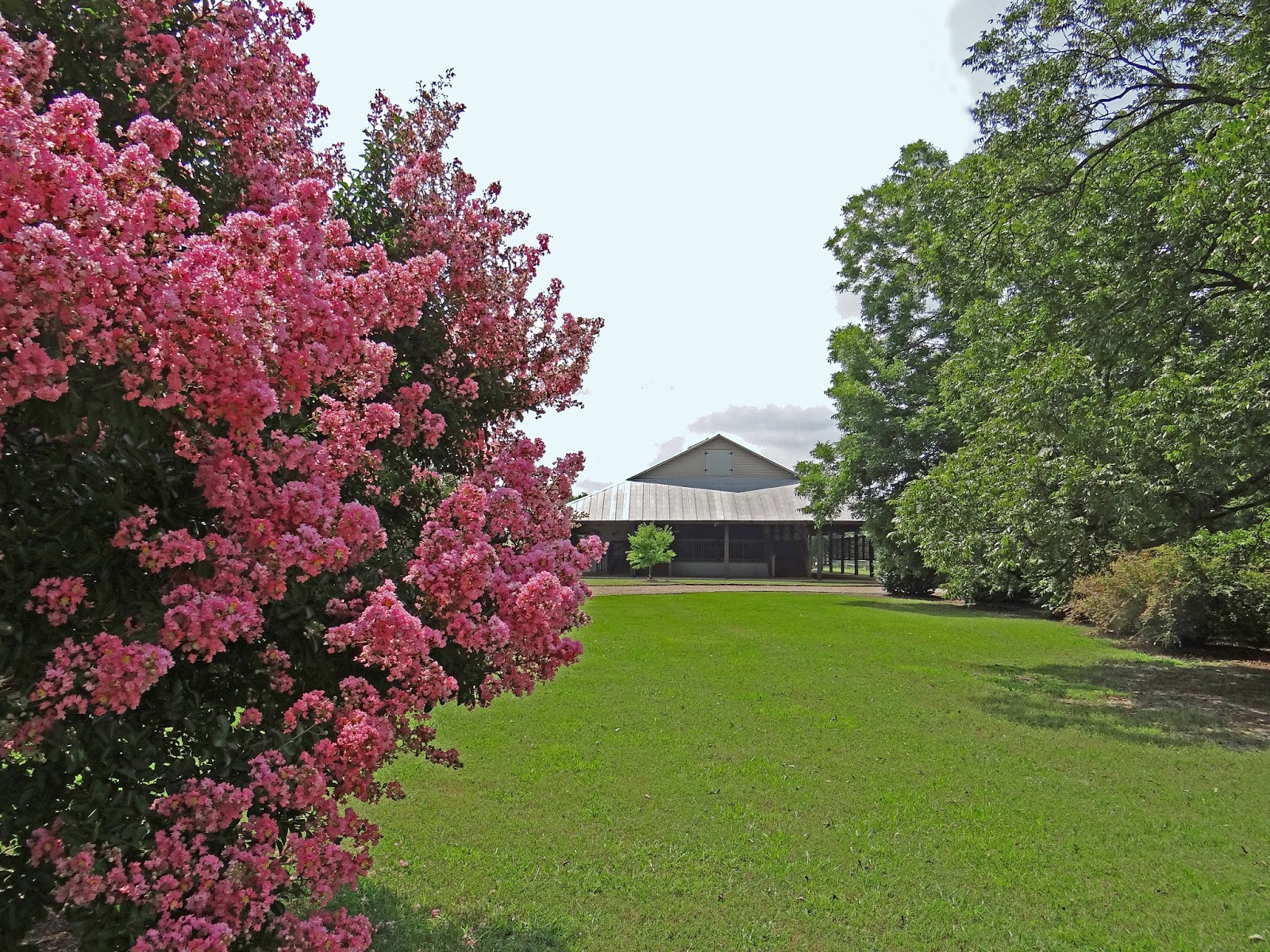Lenora's Legacy Estate Lenora's Legacy in Full Bloom