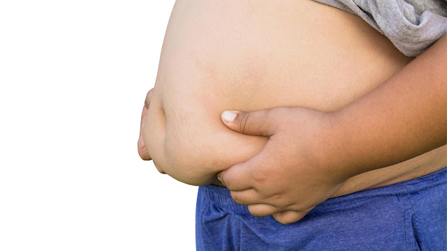 Common dietary habits that cause obesity
