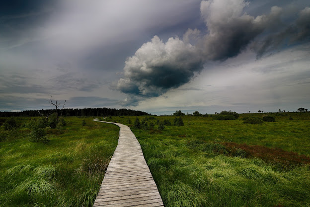 Hautes Fagnes