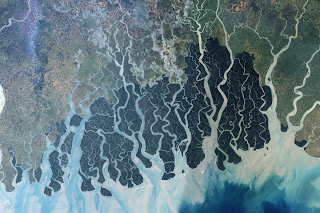 Sundarbans'ın uydu görüntüsü.