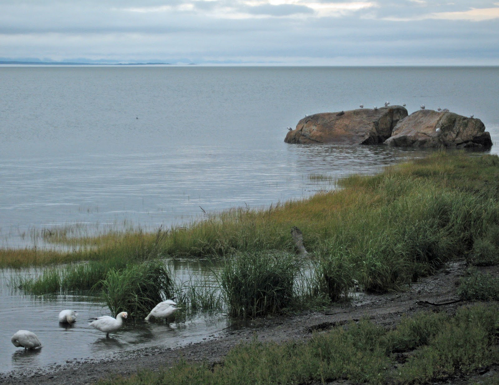 La Lair On Wheels: When the Saint Lawrence River becomes the Gulf of ...