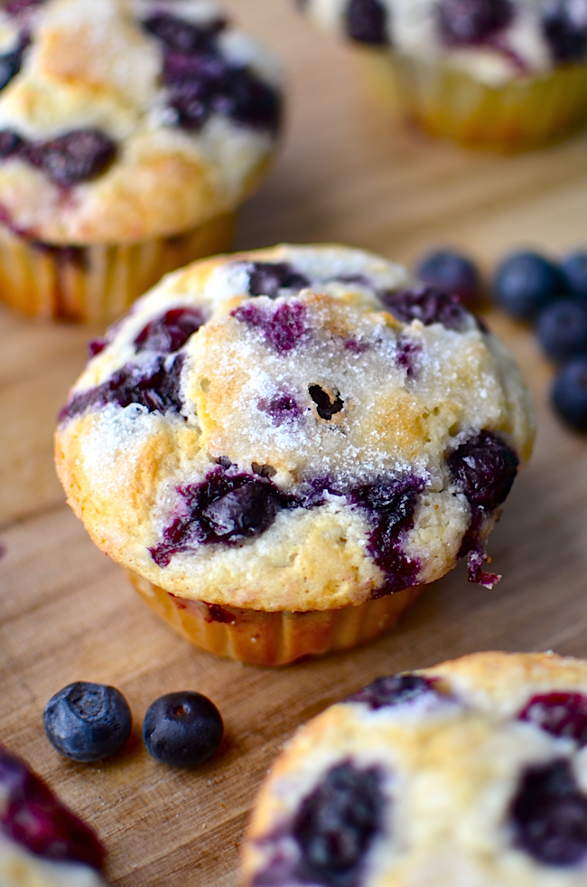 Yammie's Noshery: The Best Blueberry Muffins Ever