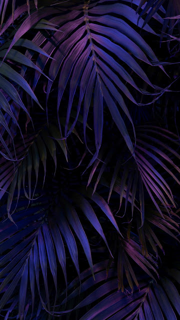 AESTHETIC PALM LEAVES WALLPAPER FOR IPHONE