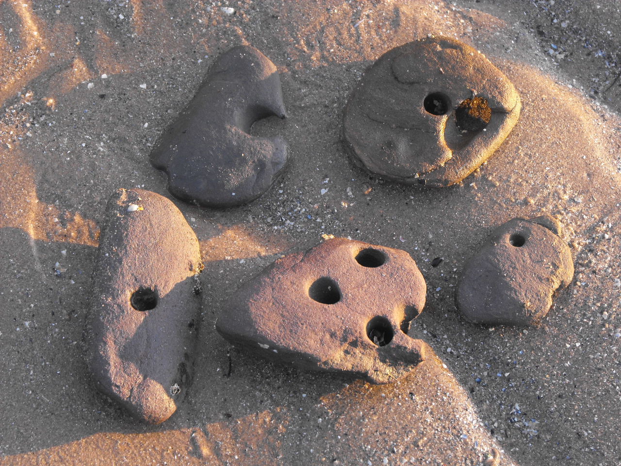 Largo Baywatch Holey Stones