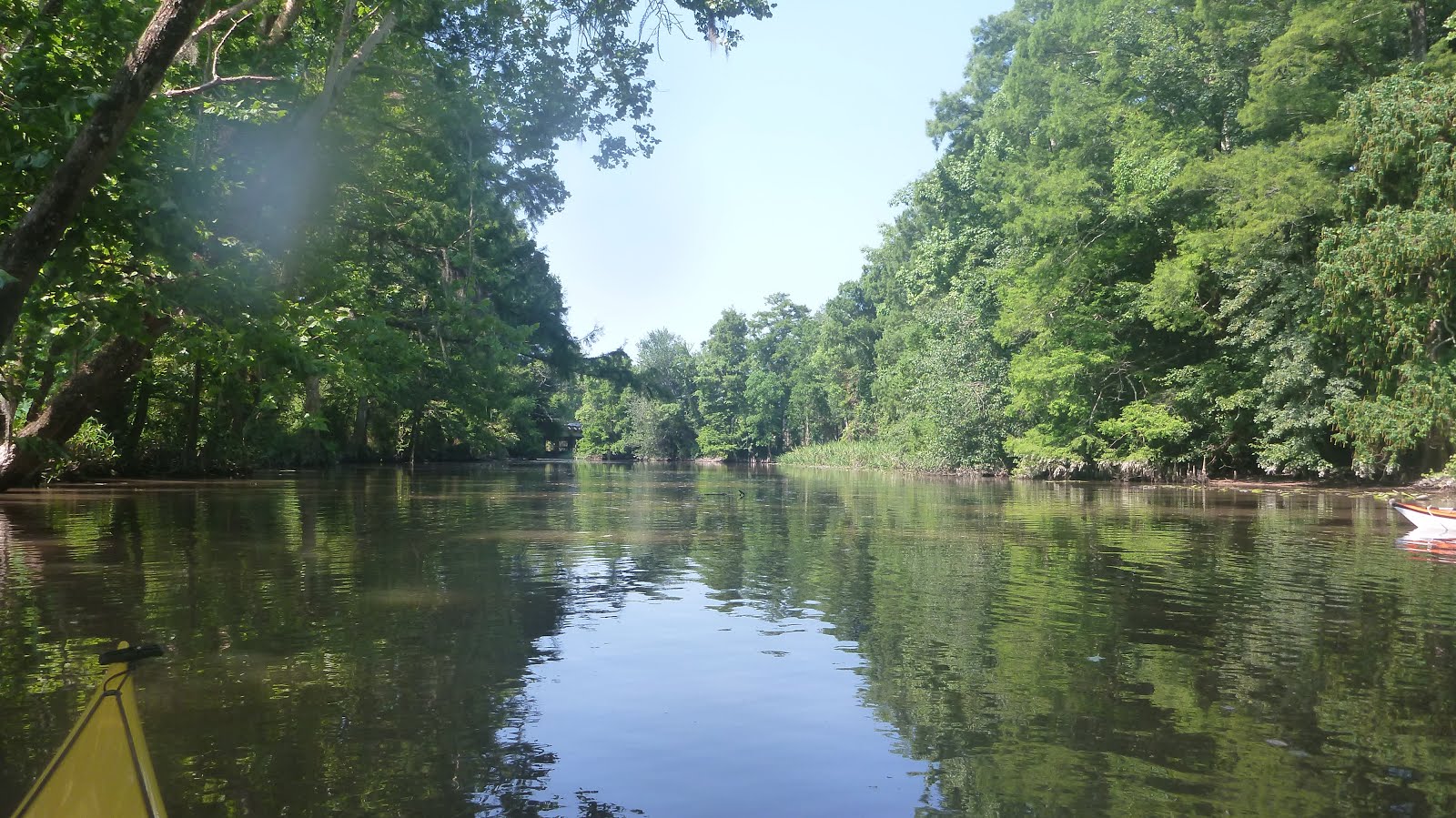 Southeastern Louisiana Paddling Kayaking Natalbany River to North Pass