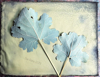 Wet cyanotype -Sue Reno_Image 629