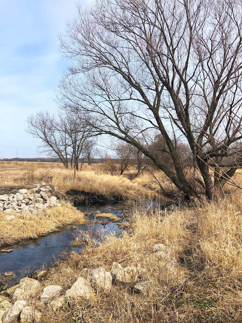 Idyllic scene as a stream meanders through trees, tall grasses and chunky rocks at Brunner Family Forest Preserve in Dundee, Illinois