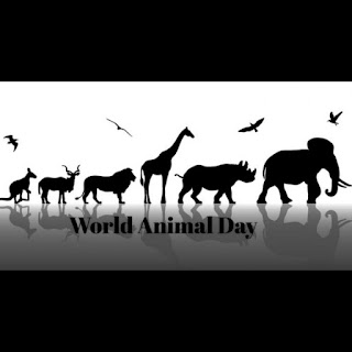 Best World Animal Day Pictures 2021
