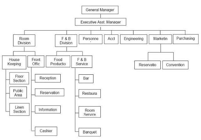 Large, Medium And Small Hotels Organization Structure