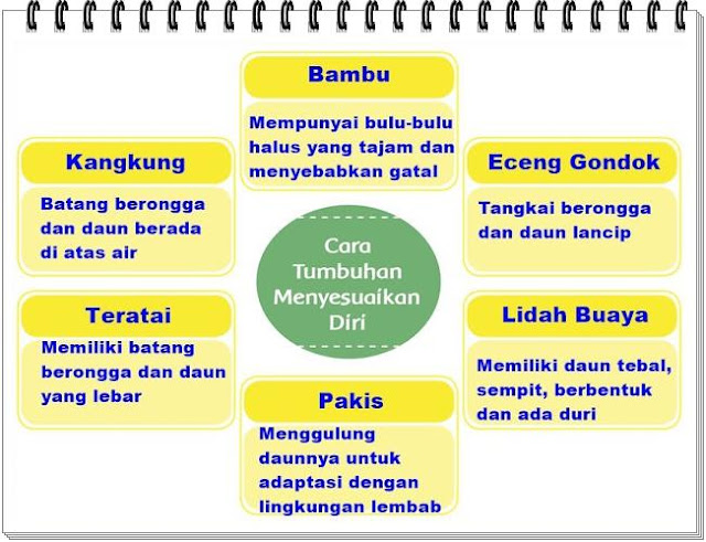 Kunci jawaban tema 2 kelas 6 halaman 24