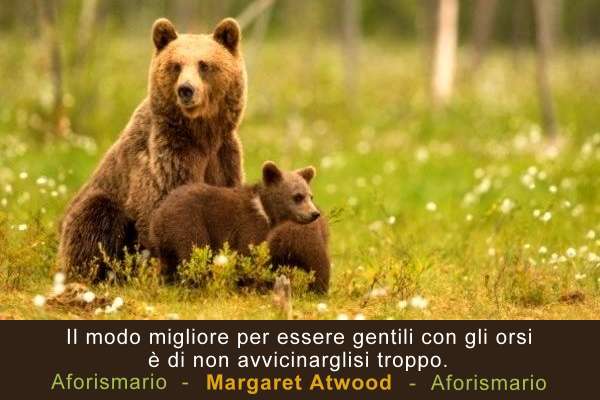 Aforismario Aforismi Frasi E Proverbi Sull Orso
