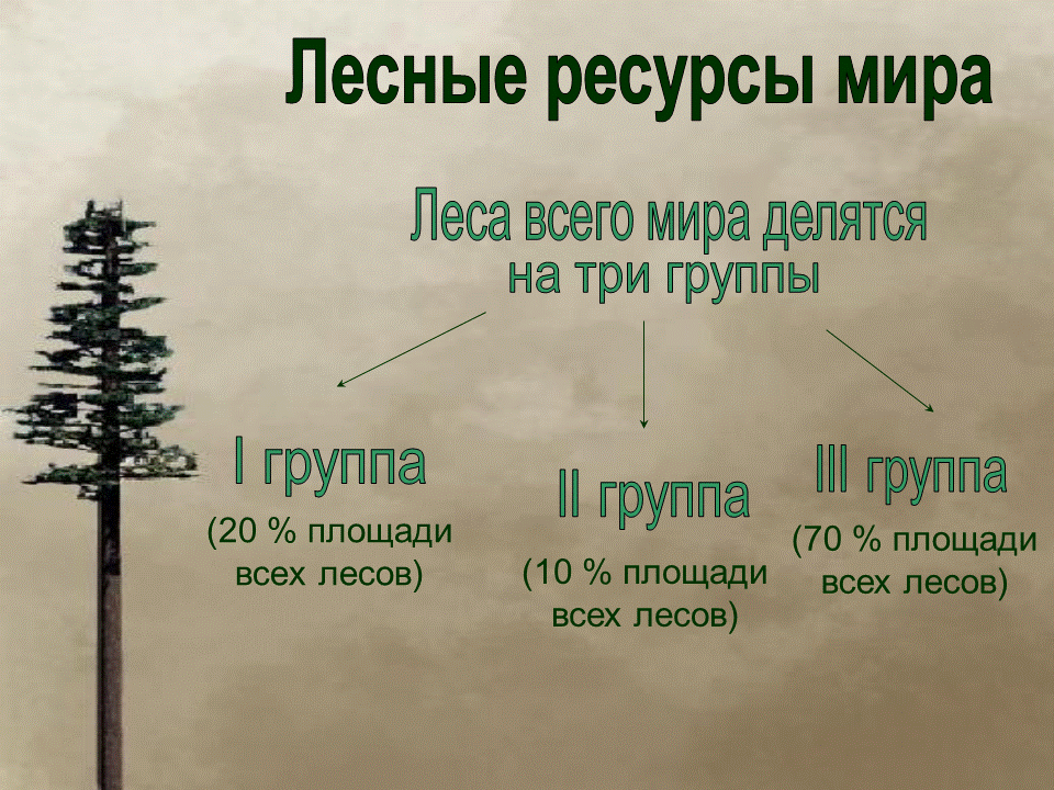 запасы лесных ресурсов в мире. лесные ресурсы мира таблица. место в мире лесных ресурсов. типы лесных ресурсов. запасы древесины в мире.