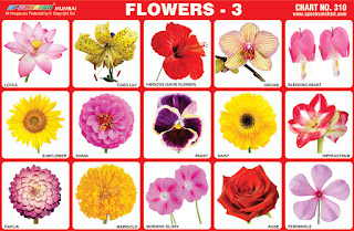 Flower Charts