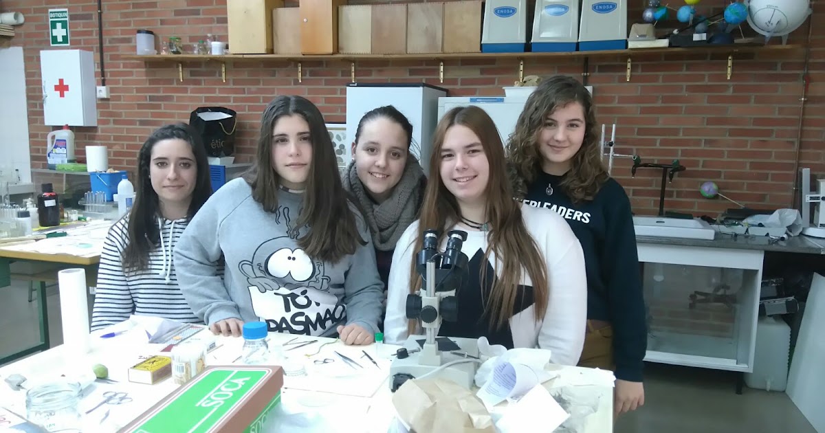 El huerto escolar como recurso científico: Estudio del polen: Grupo 6