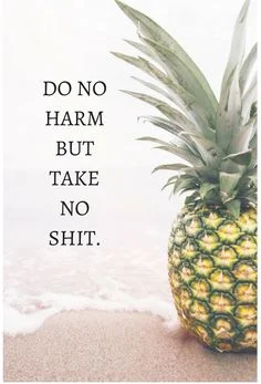 no shit pineapple quotes
