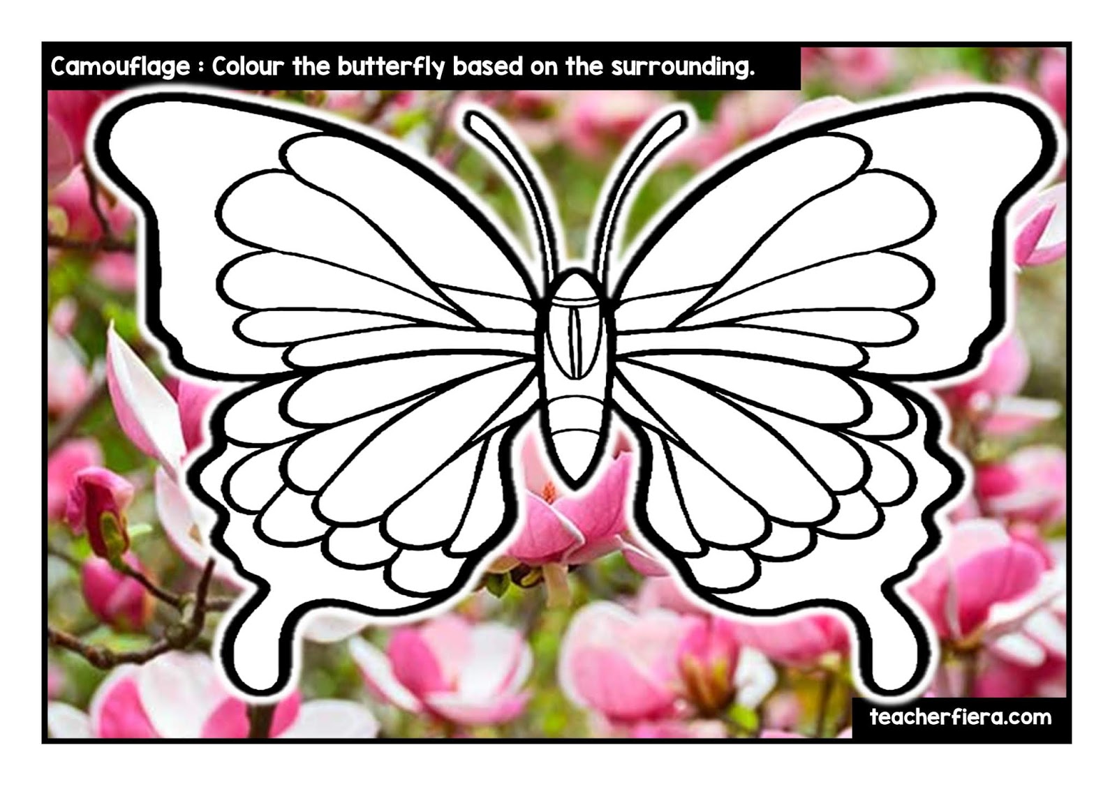 teacherfiera.com: YEAR 1 (2019) UNIT 3 : CAMOUFLAGE COLOURING SHEET