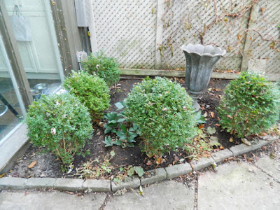 Toronto Cabbagetown Fall Cleanup Backyard After by Paul Jung Gardening Services Inc.--a Toronto Gardening Services Company Toronto Cabbagetown Fall Cleanup Backyard After by Paul Jung Gardening Services Inc.--a Toronto Gardening Services Company
