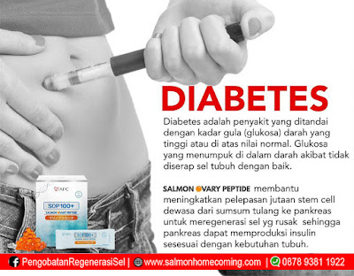 Obat Diabetes Paling Ampuh