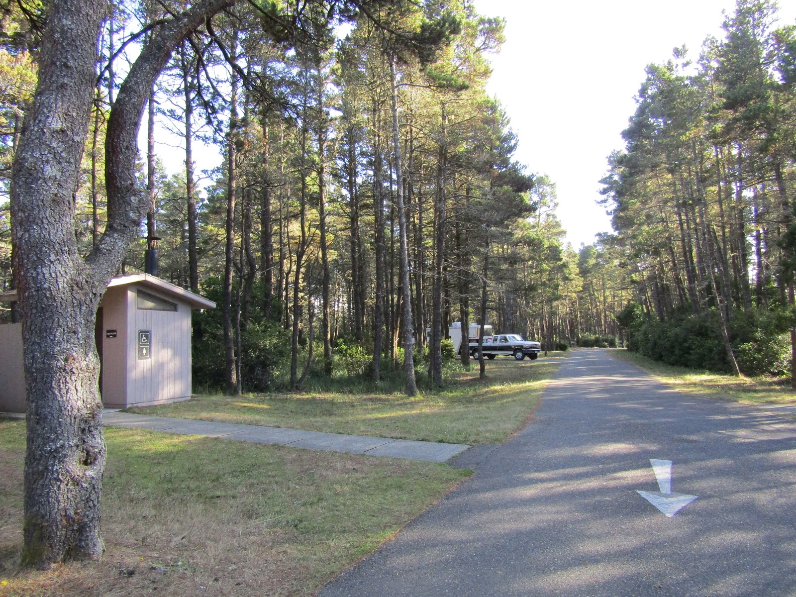 Holly S Horse Tales And Trails Wild Mare Horse Camp And The North Spit Trails Oregon