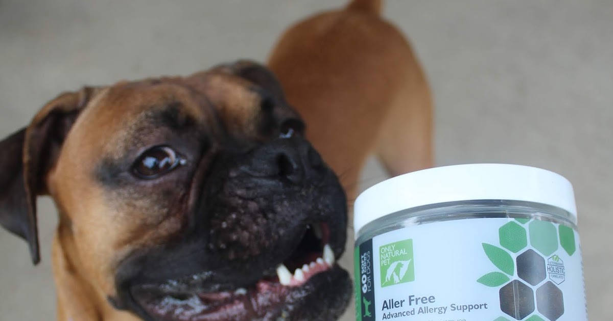 Dog Madness Attack Those Allergies Holistically