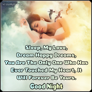 Good Night Quotes Good Night Messages Good Night Image