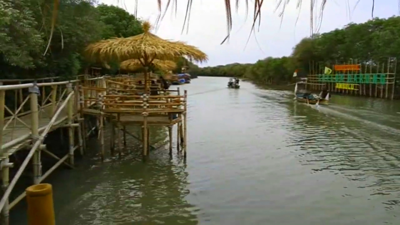  Obyek  Wisata  Mangrove Caplok Barong Wisata  Cirebon  Timur 