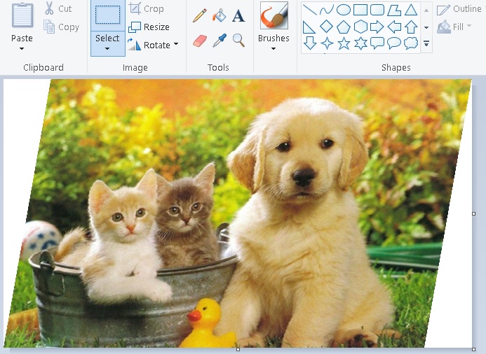 Bài 5 Skew kéo nghiêng hình ảnh trong Microsoft Paint
